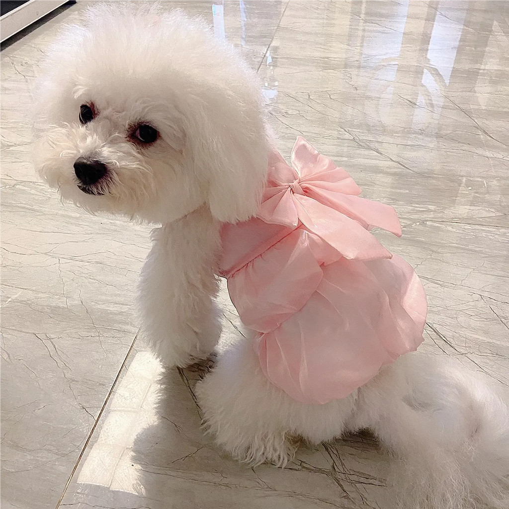 可愛寵物吊帶裙 寵物衣服 狗衣服 貓衣服 茶杯犬 泰迪 比熊 小狗 貓咪 背吊帶公主連衣裙 無袖背心蓬蓬裙 寵物裙